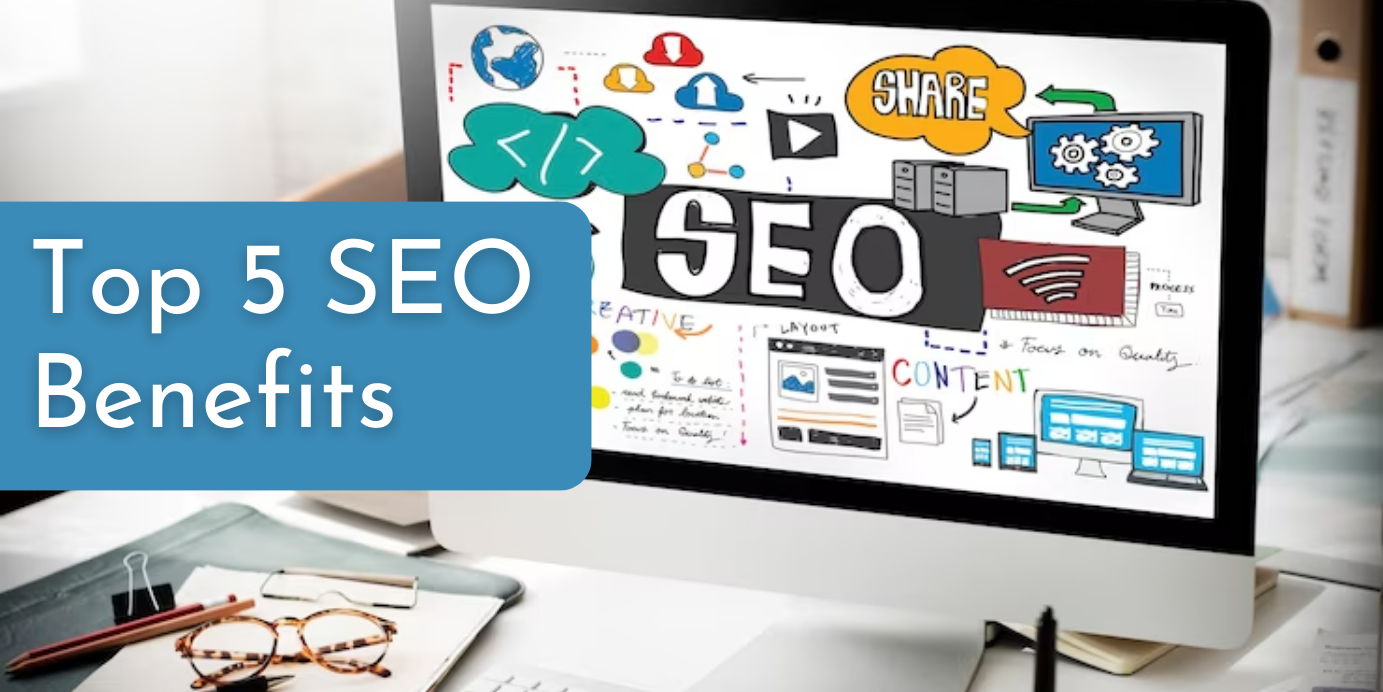 SEO Expert in Delhi India